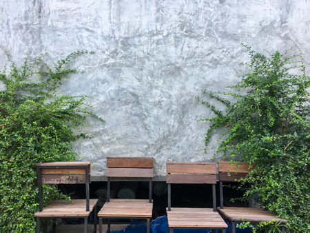 Abstract plant with cement wall background. green leaves on wall brick background, Ivy on wall