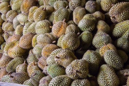 Group of durian in the market. Close up of peeled durian.の写真素材