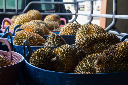 Group of durian in the market. Close up of peeled durian.の写真素材