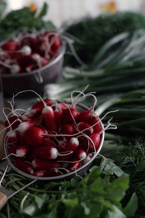 Fresh radish in a colander and bunches of greenery. Close-upの写真素材
