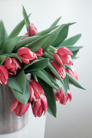 Bouquet of red tulips in an iron bucketの写真素材