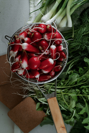 Bunches of fresh salad, dill, onion and radishの写真素材
