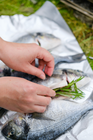 A girl puts the rosemary in a raw  fish doradoの写真素材