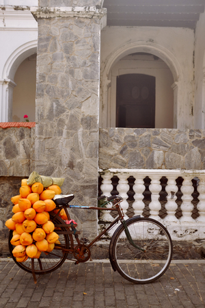 A bicycle with coconuts on the trunk stands on the streetの写真素材