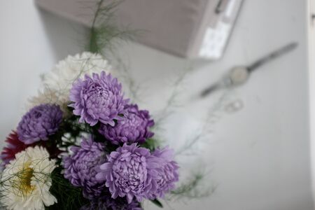 A bunch of asters on a white backgroundの写真素材