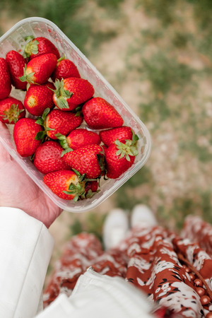 Strawberries in a container in handsの写真素材