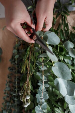 florist in apron makes a bouquet of eucalyptus leavesの写真素材