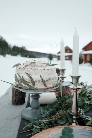 Beautiful cake in rustic style decorated with twigs of eucalyptus plantsの写真素材