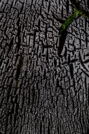 black Burnt wooden Board table surface. Burnt wooden Board texture. Burned scratched hardwood surface. Smoking wood plank backgroundの写真素材