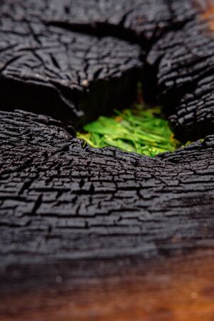 black Burnt wooden Board table surface. Burnt wooden Board texture. Burned scratched hardwood surface. Smoking wood plank backgroundの写真素材