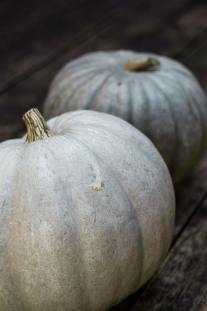 Gray and green pumpkins for Halloween on a wooden backgroundの写真素材