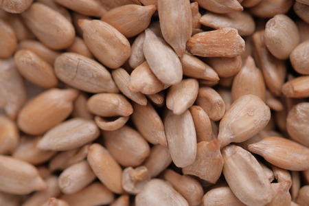 Sunflower seeds background. Sunflower seeds texture. Healthy organic food concept. Top view.の写真素材