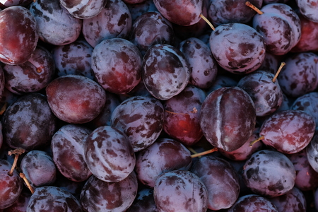 Fresh ripe plums placed on table in market. Organic red plums fruit in pile at local farmers market. Plum backgroundの写真素材