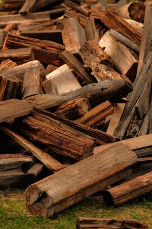 Dry chopped firewood logs in a pile. A pile of firewood in the forest. Firewood in a forest glade....