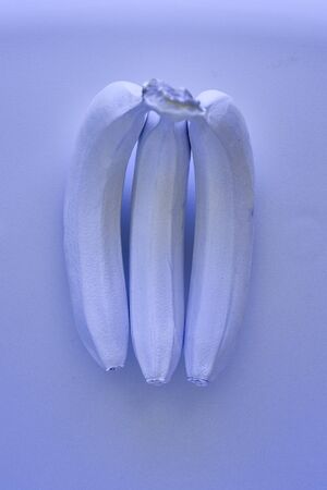 purple bananas on a purple background. Minimal style. gmo concept. GMO.top viewの写真素材