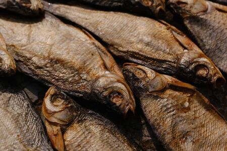conceptual flat background of dried fish. vobla. dried fish. close-upの写真素材