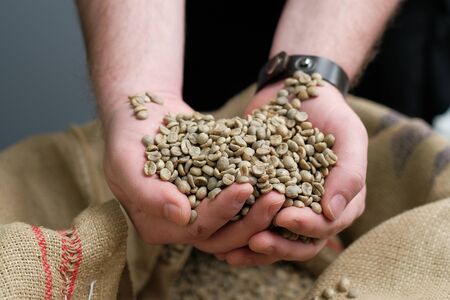 green unroasted coffee beans in hands on burlap background. coffee roasting processの写真素材