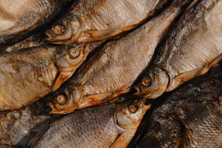 conceptual flat background of dried fish. vobla. dried fish. close-upの写真素材