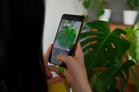 young girl photographs home plants on the phone. eco blogger. ecology. hobby. concern for the...