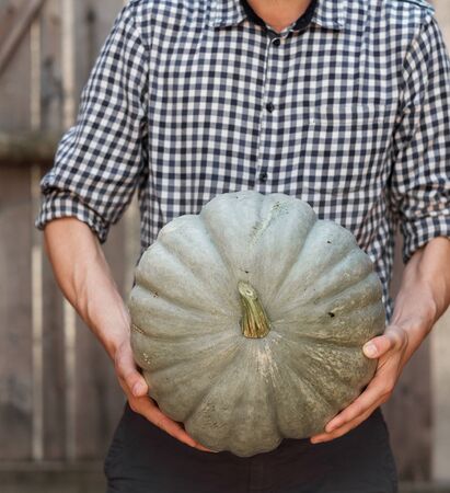 big pumpkin in the hands. man holding a pumpkin. farmer. Chefの写真素材