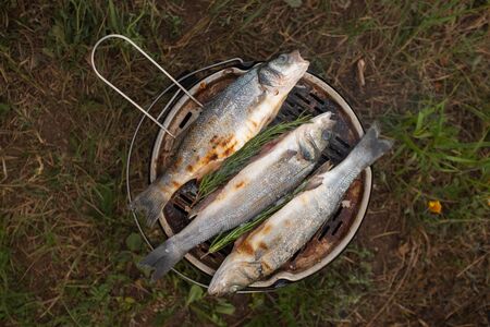 grilled rosemary fish close-up. The process of cooking fish with spices. Campingの写真素材