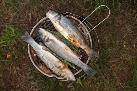 grilled fish close-up. The process of making barbecue fish. Campingの写真素材