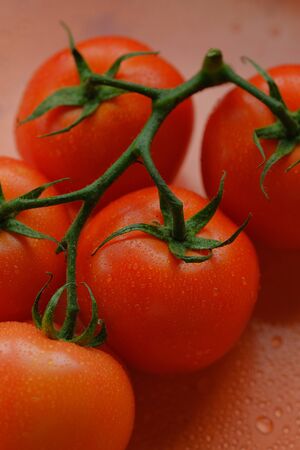 Red tomatoes on a branch with drops of water close-up lie on the table. Natural healthy tomatoes from biological agriculture. Concept: agriculture, tomato, natureの写真素材