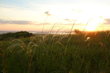 Beautiful pink sunrise on a plain overlooking the river. The concept of tourism and solitude with natureの写真素材