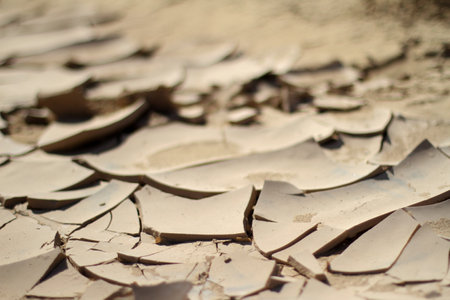 cracked dry desert  soil. Shallow DOFの写真素材