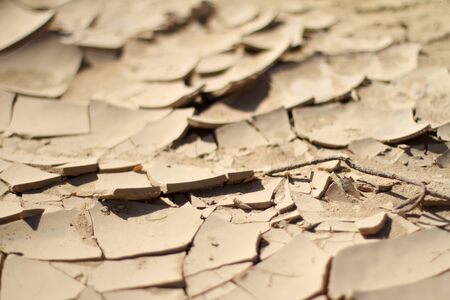 cracked dry desert  soil. Shallow DOFの写真素材