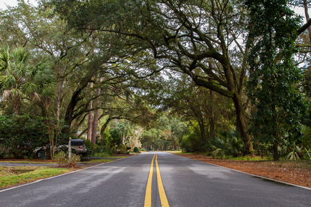 Street at Hilton Head island