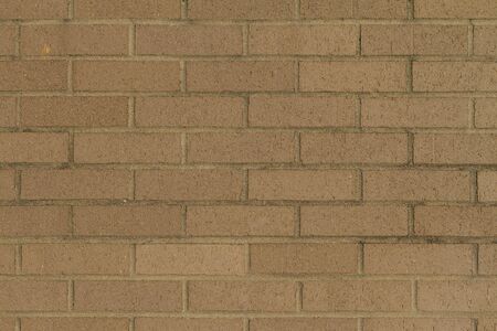 close up on beige bricksの写真素材