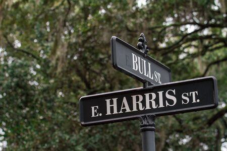 Historic district in Savannah Georgiaの写真素材