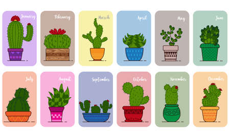 Various kinds of cute cactus plants with the description of the name of the month. Vector illustration of a graphic. Perfect for calendar icons, stickers, backgrounds, etc.のイラスト素材