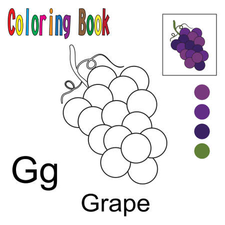 Cartoon Grape. Coloring book with a fruit theme. Vector illustration graphic. Good for children to learn and color.のイラスト素材