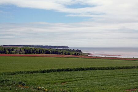 The cultivated fields of Prince Edward Island,Canadaの写真素材