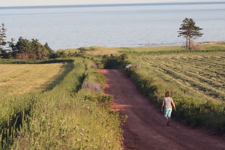 Prince Edward Island,Canada,Atlanticの写真素材