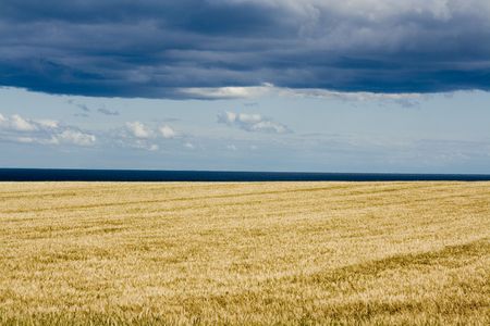 Rural Sceneの写真素材