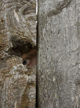 Eye looking in a knot holeの写真素材