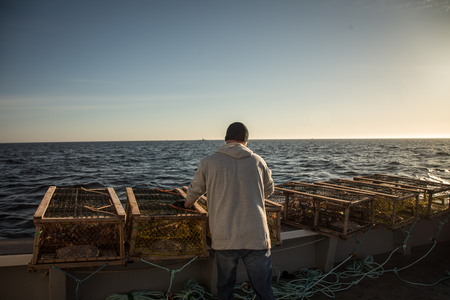 Lobster Traps at Daybreakの写真素材