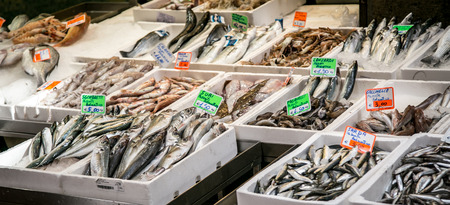 fish market bologna