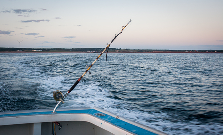 tuna fishing rod and reelの写真素材