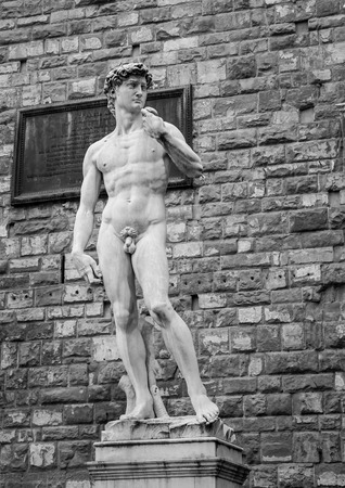 statue of davidの写真素材