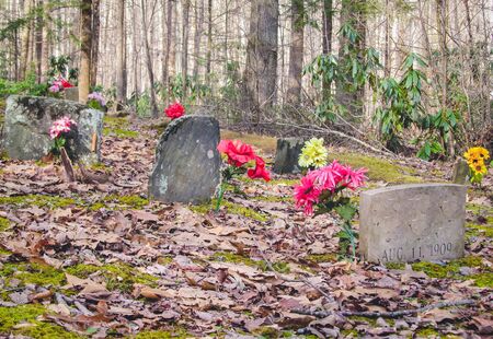 graveyard great smoky mountainsの写真素材