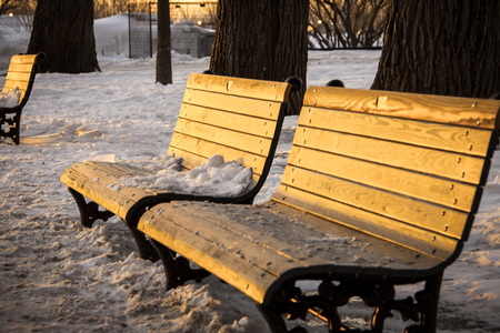 park bench winterの写真素材