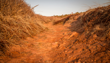 red clay footpathの写真素材