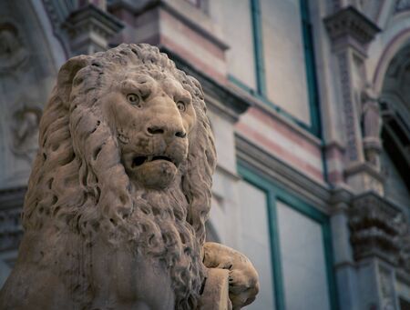 lion statue florenceの写真素材