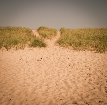 beach and grassの写真素材