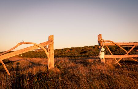 wooden fence postの写真素材