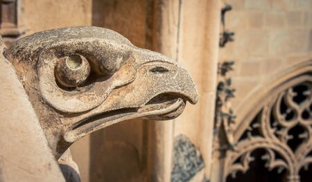 gargoyle toledo spainの写真素材